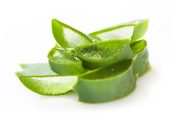 Aloe Vera Extract - Image 6