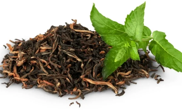Green Tea Extract - Image 8