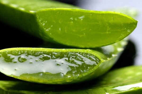 Aloe Vera Extract - Image 5