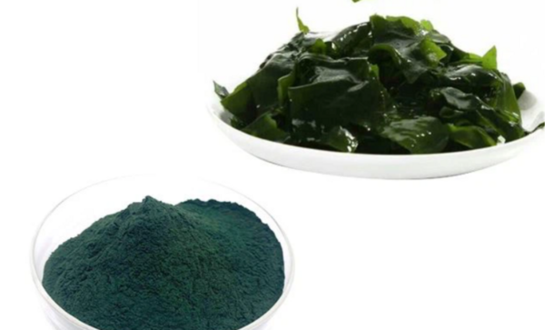 Spirulina Extract - Image 7