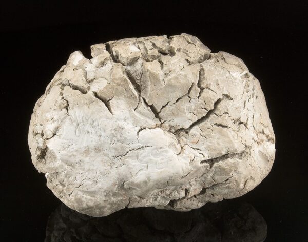 Sepiolite