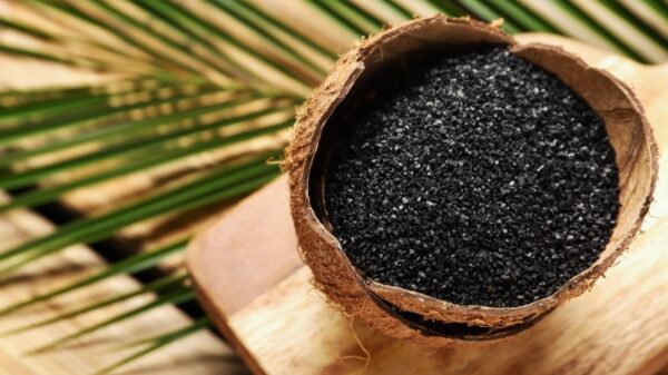 Activated Coconut Shell Carbon - Image 2