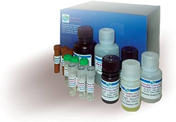 Beta-glucosidase - Image 2