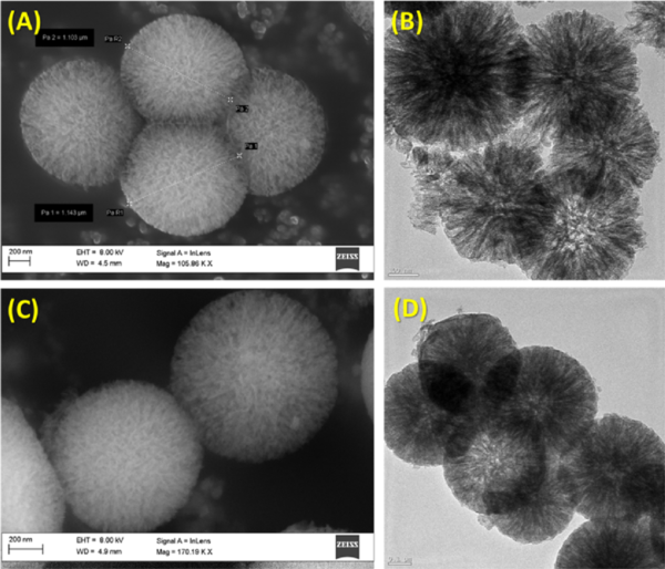 Mesoporous Adsorbents - Image 2