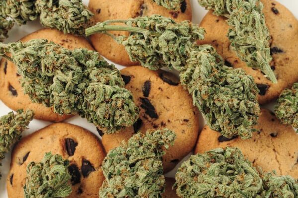 Zkittlez Pre-Rolls - Image 5