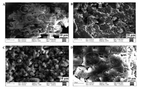 Nano Adsorbents - Image 2