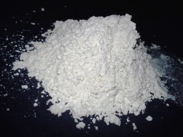 Diatomaceous Earth - Image 3