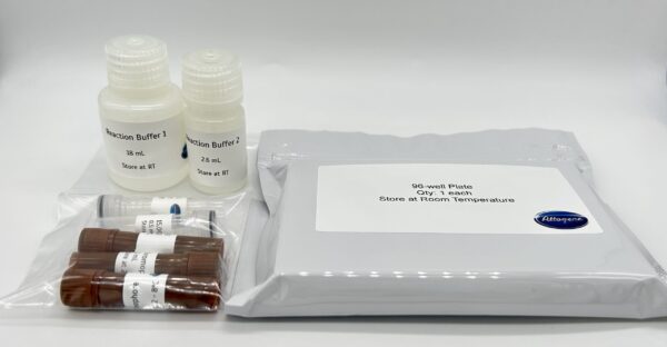 Tyrosinase - Image 4