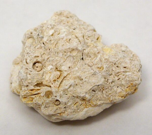 Limestone - Image 10