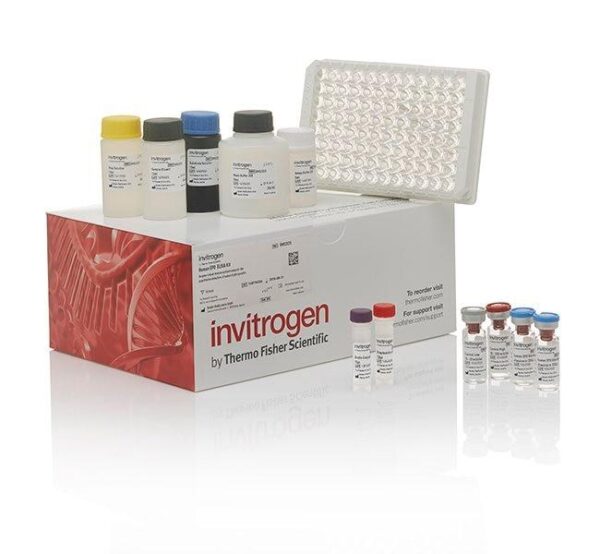 Aminopeptidase - Image 7