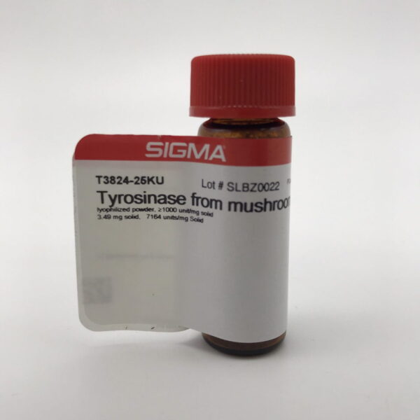 Tyrosinase - Image 6
