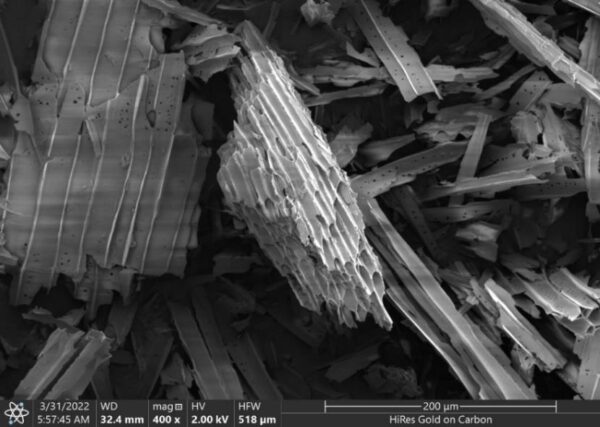 Biochar Adsorbents - Image 2