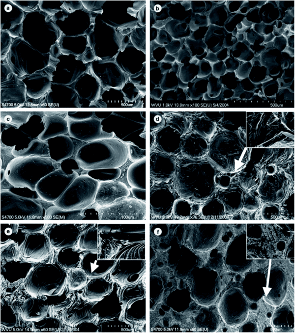 Graphene-Based Adsorbents - Image 6