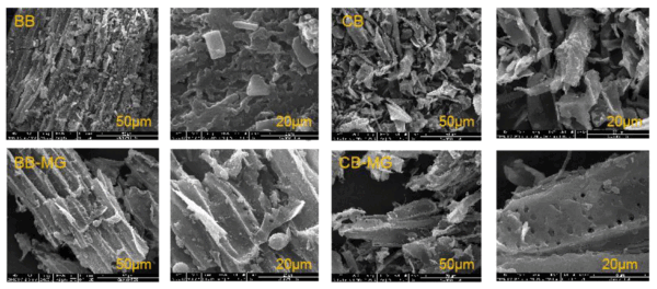 Biochar Adsorbents - Image 3
