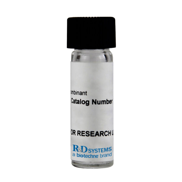 Aminopeptidase - Image 6