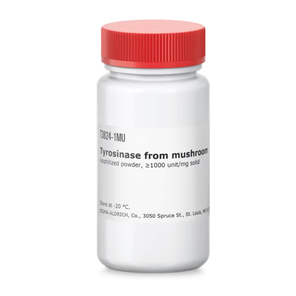 Tyrosinase