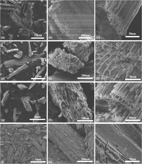 Biochar Adsorbents - Image 5