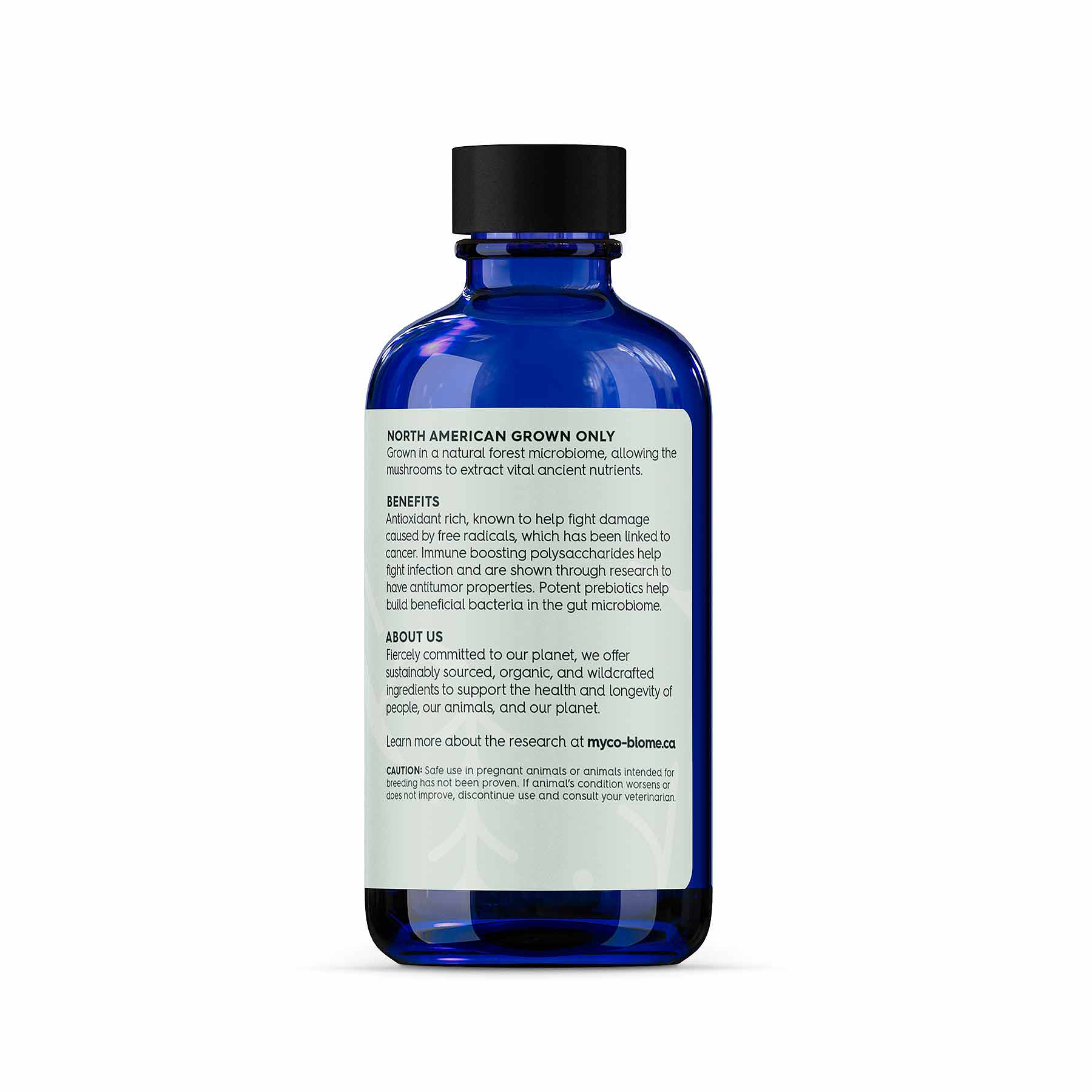 Polysaccharides - Image 2