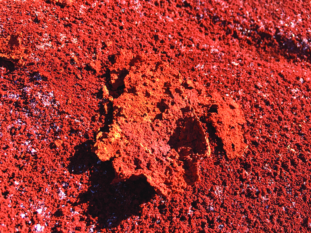 Processed Red Mud (Bauxite Residue)