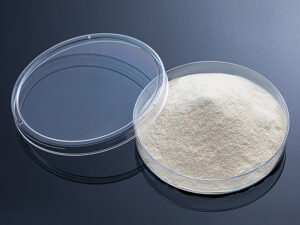 Xanthan Gum Industrial Grade — High-temp viscosity