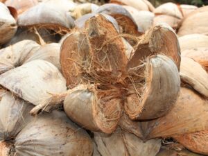 Industrial Coconut Husk Residue