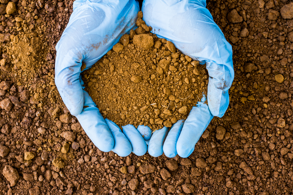 Soil Remediation Agents Bulk — Environmental cleanup