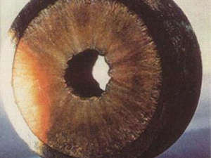 Flow Assurance Additive — Paraffin control