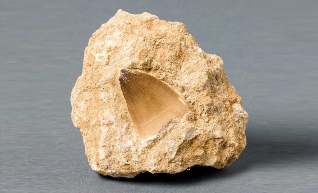 Phosphate Rock Residues