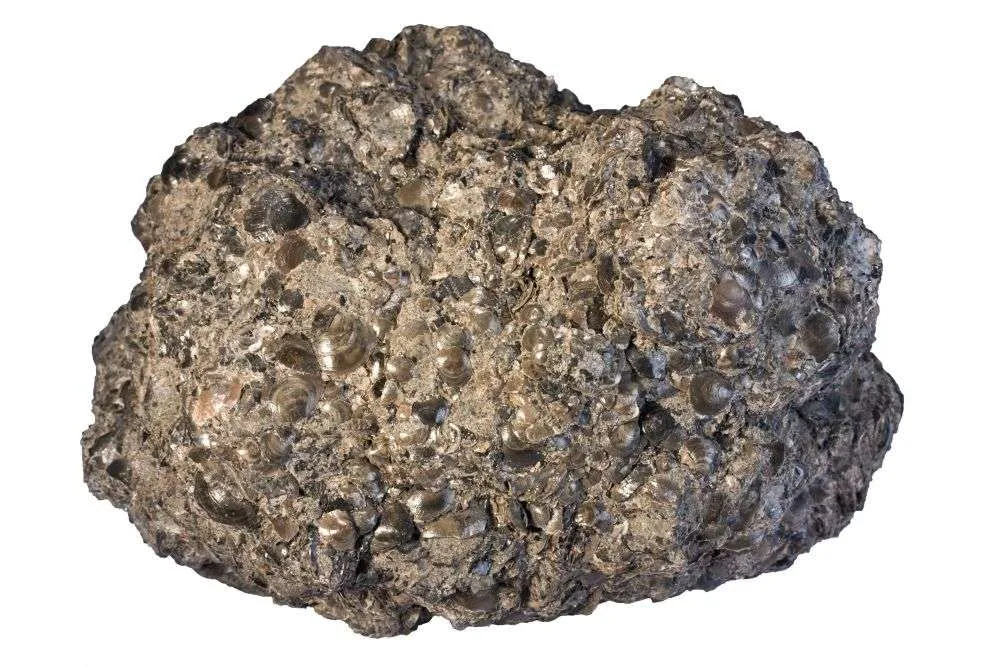 Phosphate Rock Residues - Image 4
