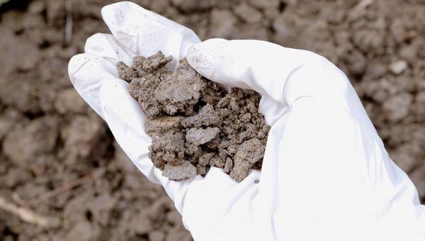 Soil Remediation Agents Bulk — Environmental cleanup - Image 2