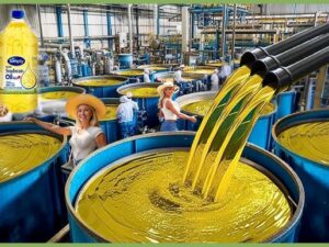 Industrial Soy Oil Residue