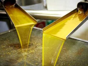 Industrial Olive Oil Residue