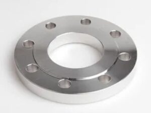 Stainless Steel Flange 316L — Corrosion resistance