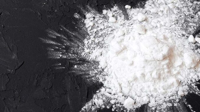 Industrial Starch Residue - Image 4