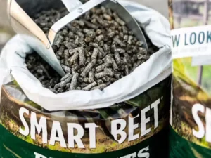 Beet Pulp Pellets