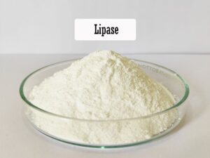 Lipase