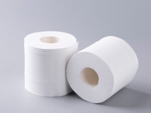 Paper Pulp (wood pulp)
