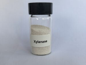 Xylanase