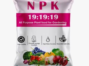NPK 19-19-19