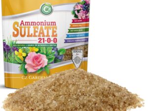 Ammonium sulfate fertilizer