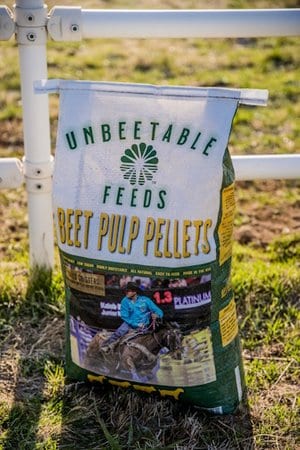 Beet Pulp Pellets - Image 4