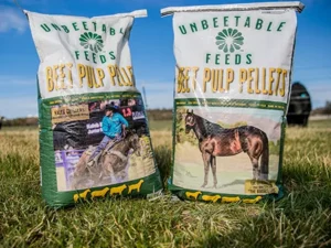 Beet Pulp Pellets
