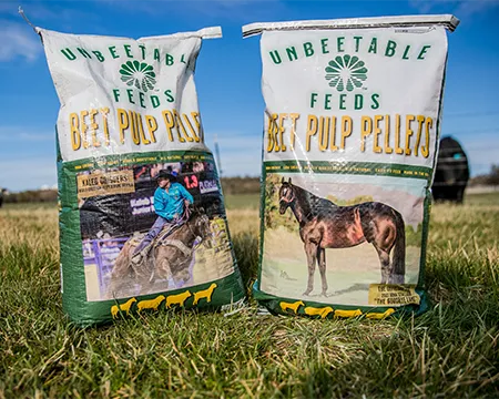 Beet Pulp Pellets