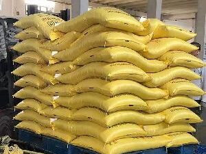 Corn Gluten Meal (60% Protein)