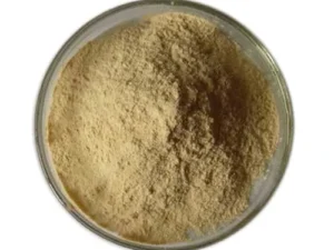 Protease