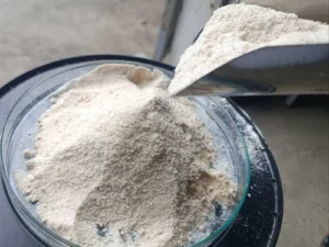 Phosphate solubilizing bacteria