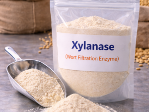 CRISPR-optimized Xylanase enzyme complex