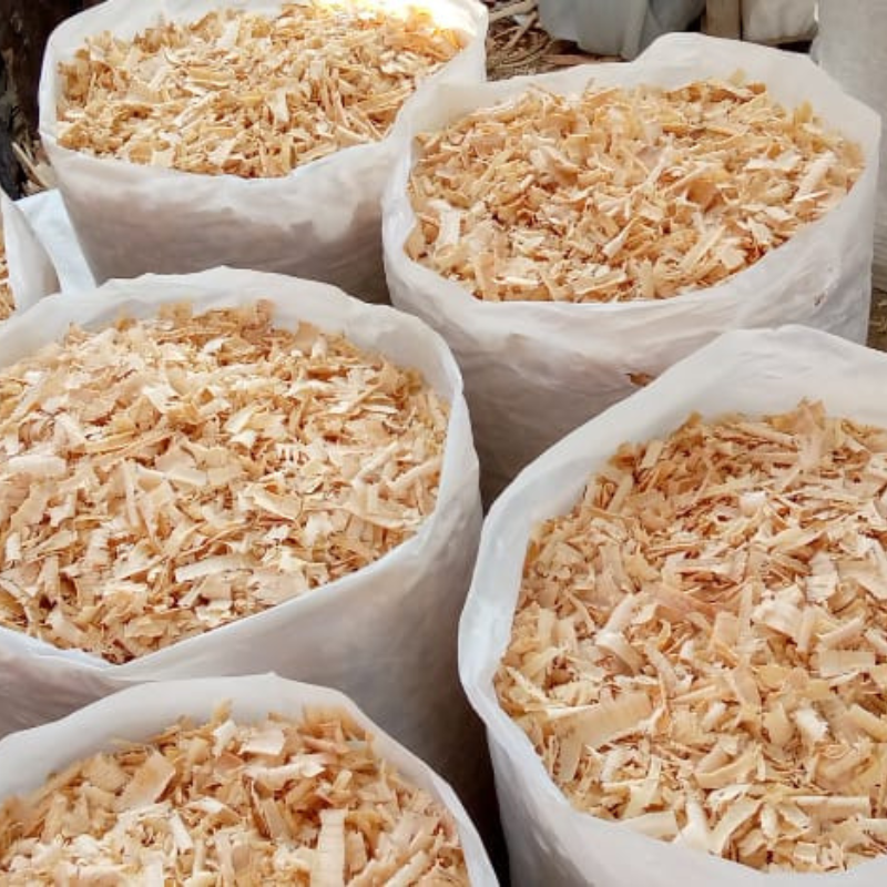 Wood Shavings - Image 4