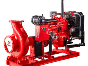 Firewater pump skid