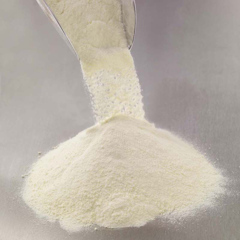 Skim Milk Powder (SMP)